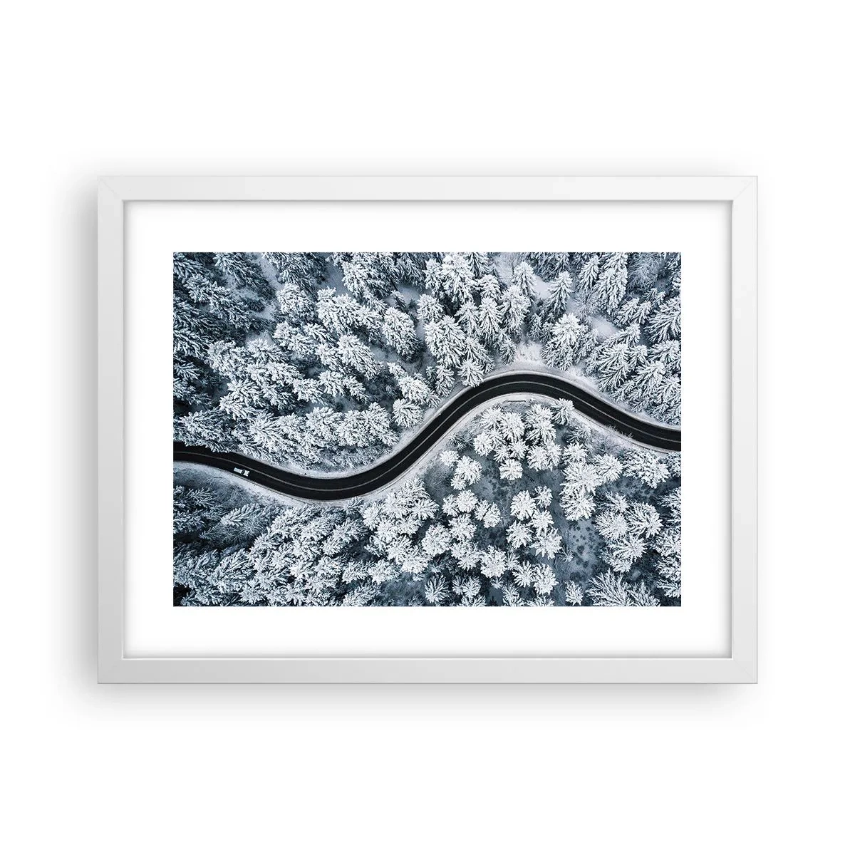Affiche dans un cadre blanc - Poster - À travers une forêt d'hiver - 40x30 cm