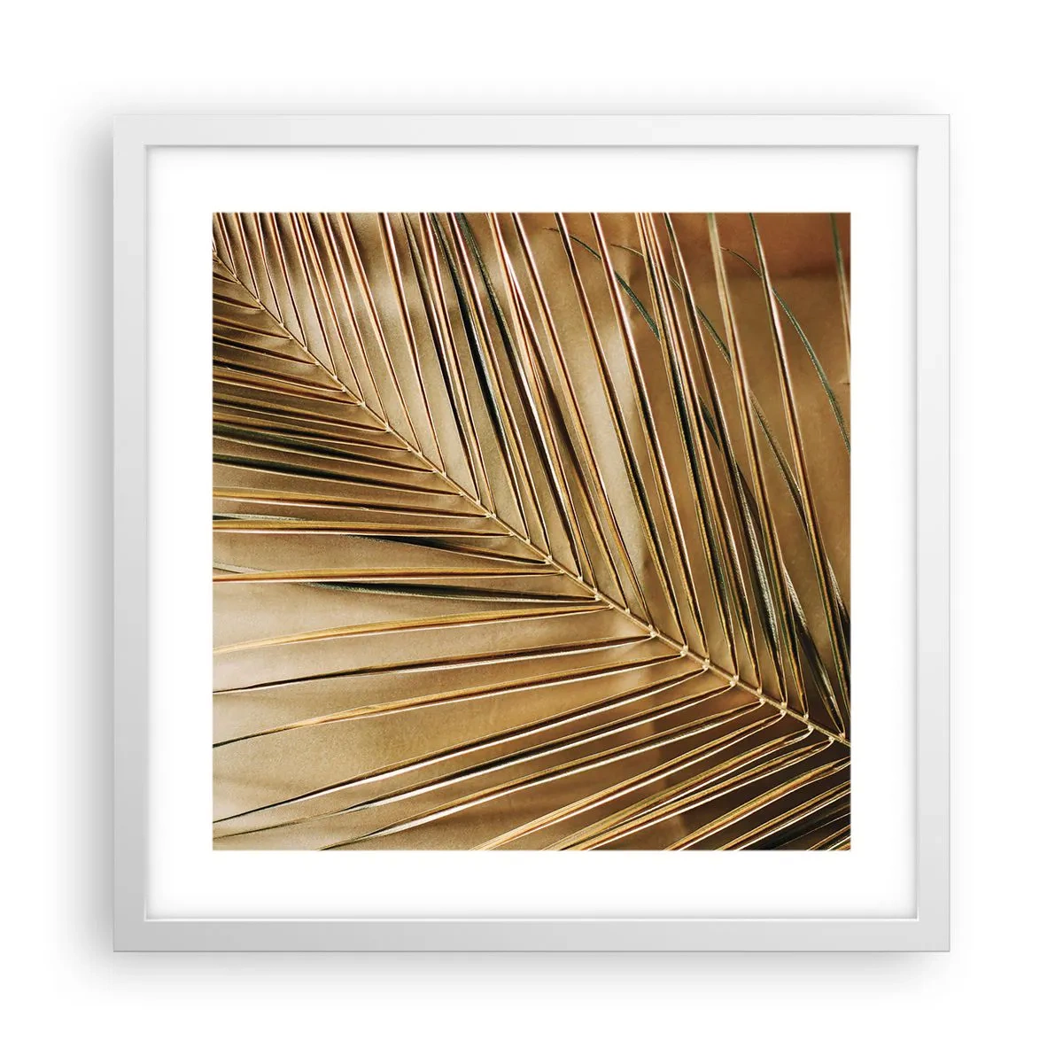 Affiche dans un cadre blanc - Poster - Colonnade naturelle - 40x40 cm