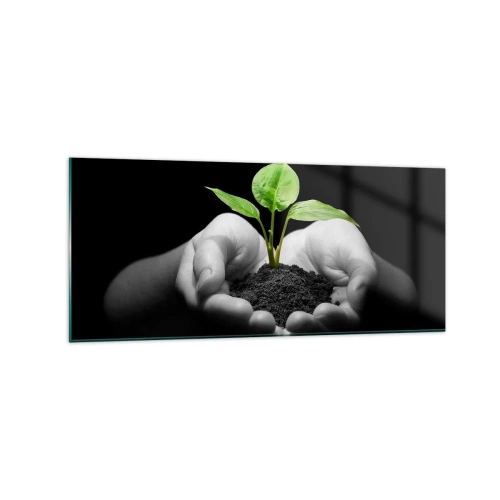 Impression sur verre - Image sur verre - Mains tenant une plante verte sur fond noir - 120x50cm - J'aime la nature, je la protège - Décoration murale moderne pour le salon et la chambre ARTTOR