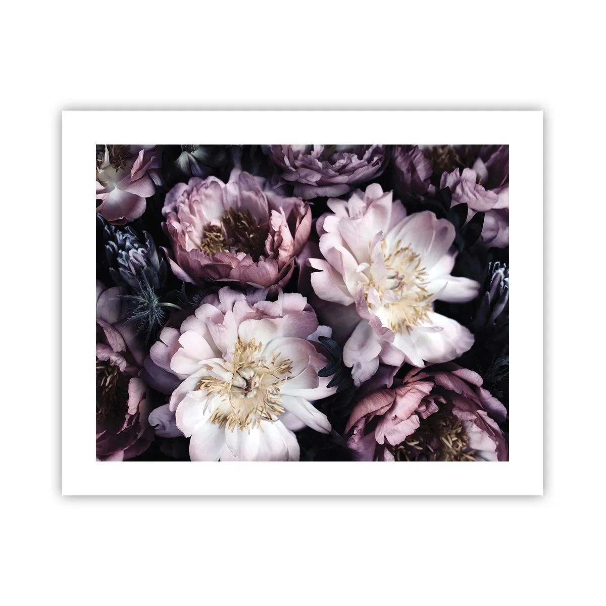 Affiche - Poster - Bouquet à l'ancienne - 50x40 cm