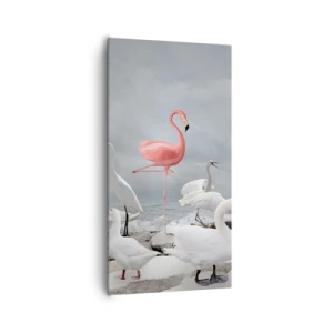 Impression sur toile - Image sur toile - Comment suis-je arrivé là? - 65x120 cm