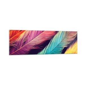 Impression sur verre - Image sur verre - Plumes colorées aux couleurs intenses - 160x50cm - Arc-en-ciel de plumes - Décoration murale moderne pour le salon et la chambre ARTTOR