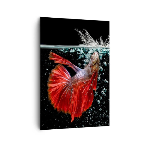 Impression sur toile - Image sur toile - Un magnifique betta dans l'eau sur un fond sombre - 70x100cm - Vous avez trois vœux - Décoration murale moderne pour le salon et la chambre ARTTOR