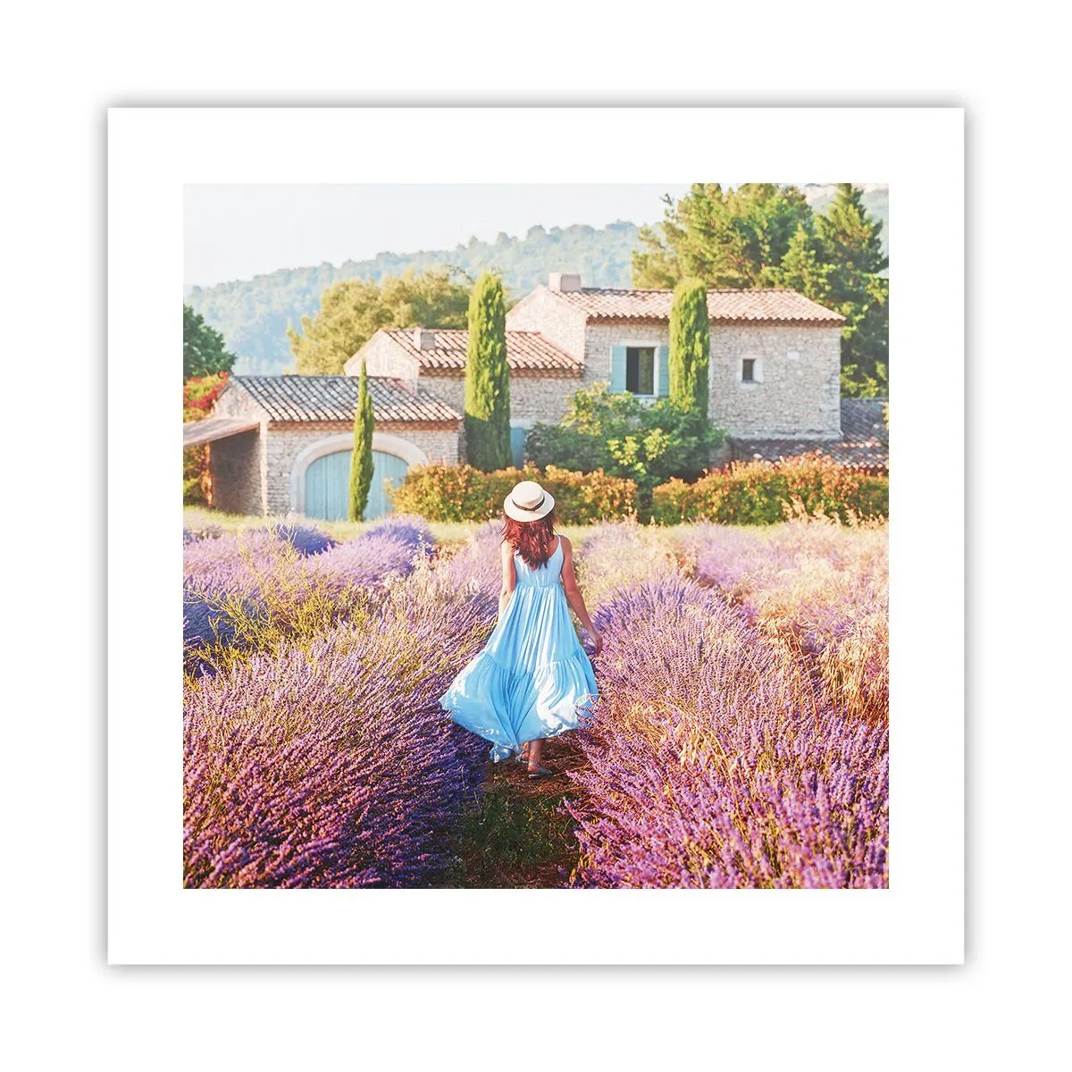 Affiche - Poster - Fille de la lavande - 40x40 cm