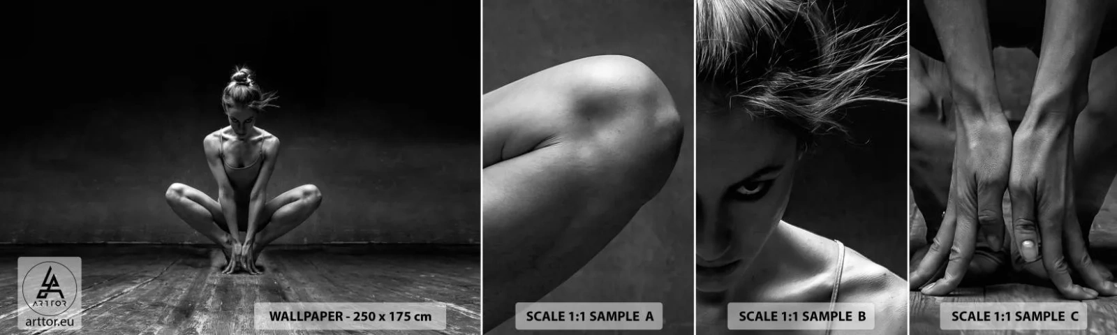 Échantillon de Papier Peint Autocollant Deluxe Sticker - Concentration de l'énergie de la danse - Danseur, Femme, Noir et blanc - 100x30 cm