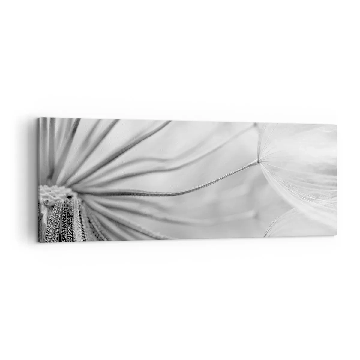 Impression sur toile - Image sur toile - Pissenlits délicats dans des tons noir et blanc - 140x50cm - Aigrette avant son envol - Décoration murale moderne pour le salon et la chambre ARTTOR
