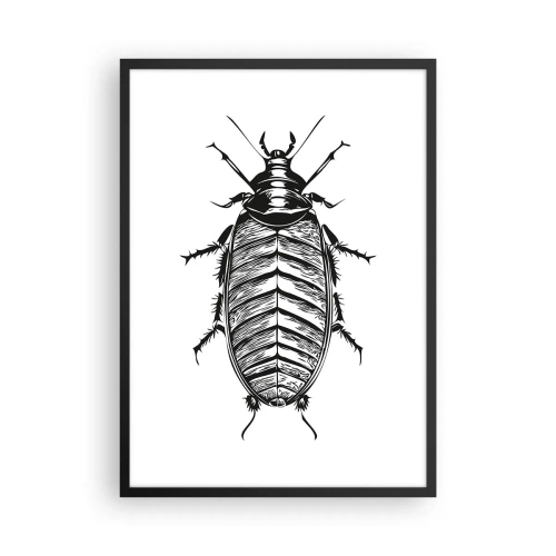 Affiche dans un cadre noir - Poster - Illustration en noir et blanc d'un insecte dans un style de vente au détail - 50x70cm - Quel spécimen! - Décoration murale moderne pour le salon et la chambre ARTTOR
