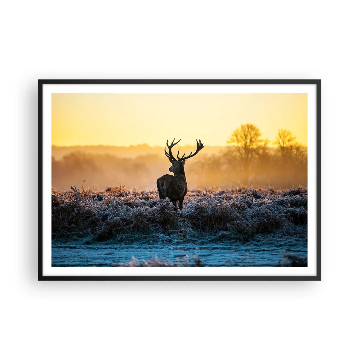 Affiche dans un cadre noir - Poster - Un cerf dans une clairière gelée au lever du soleil - 100x70cm - Couronné pour sa succession - Décoration murale moderne pour le salon et la chambre ARTTOR