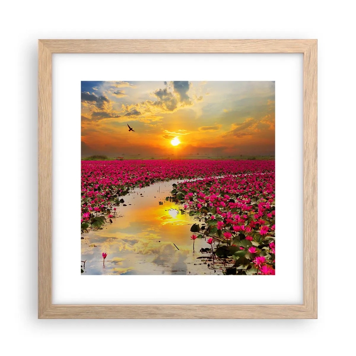 Affiche dans un chêne clair - Poster - La vie secrète du lac - 30x30 cm