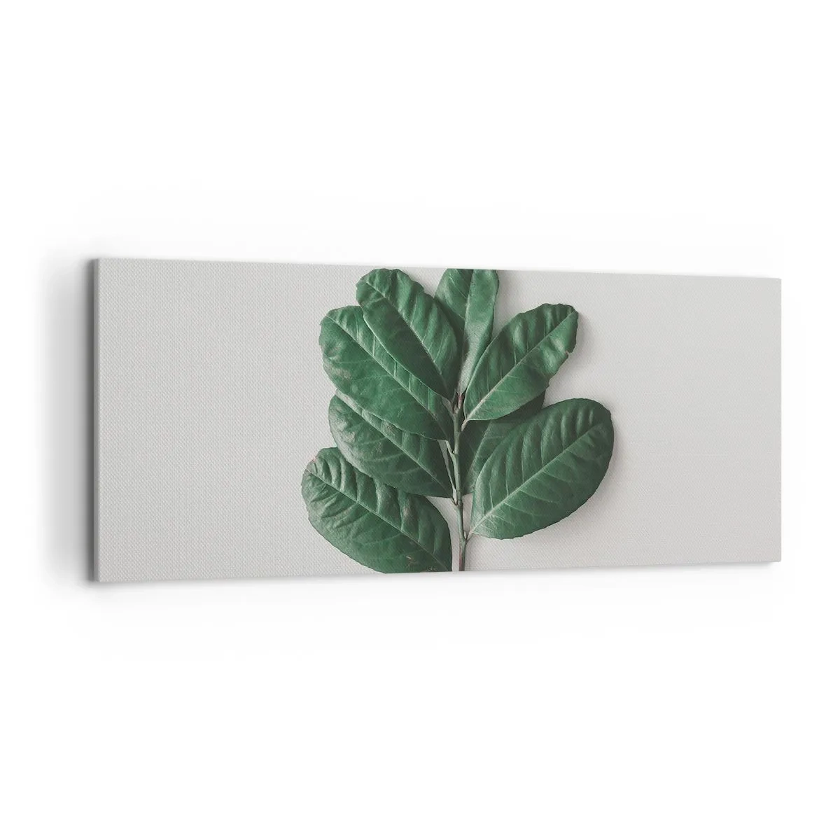 Impression sur toile - Image sur toile - Un brin de feuilles vertes sur un fond clair - 120x50cm - Dessin de la nature elle-même - Décoration murale moderne pour le salon et la chambre ARTTOR