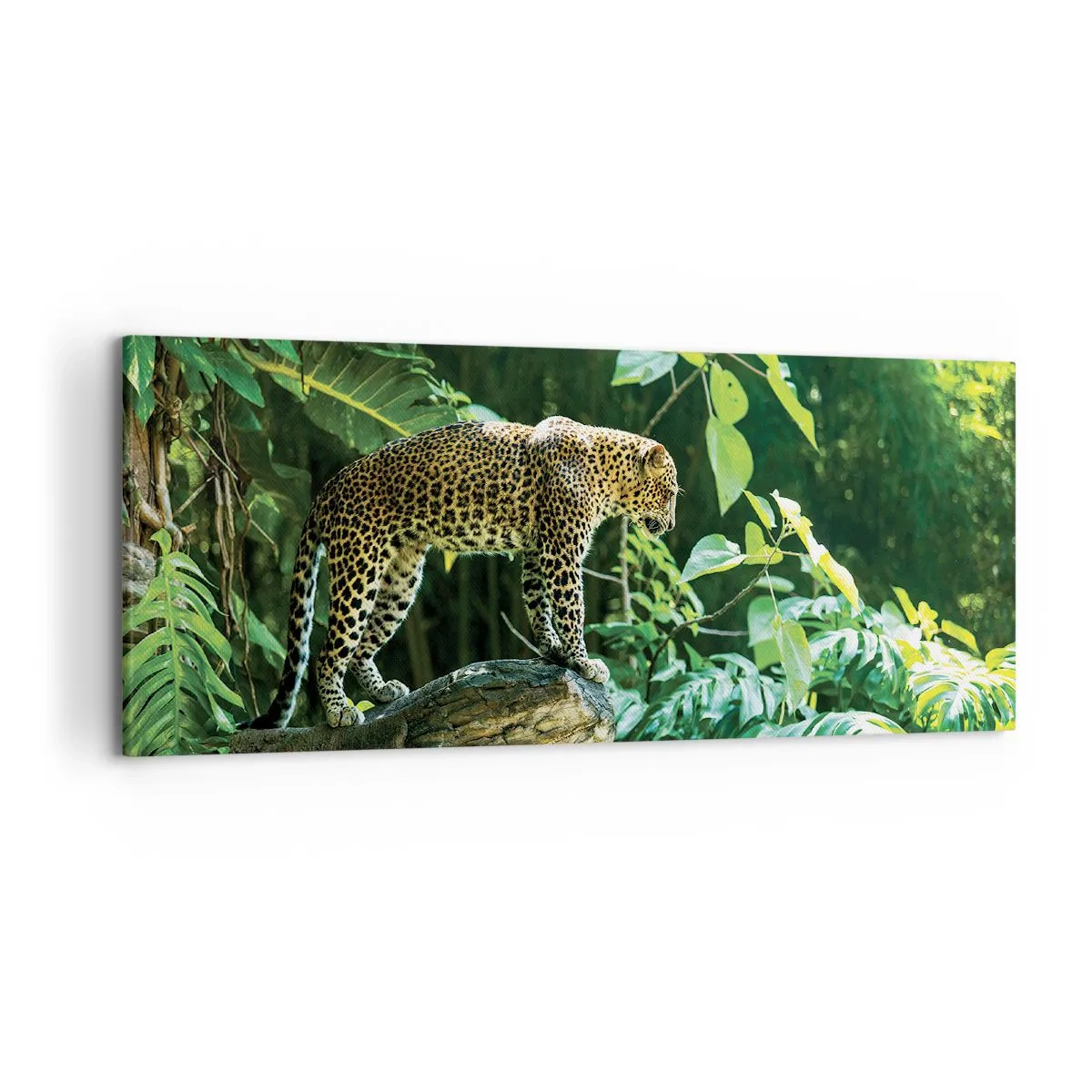 Impression sur toile - Image sur toile - Un léopard debout sur un rocher entouré de végétation tropicale - 120x50cm - À la chasse? - Décoration murale moderne pour le salon et la chambre ARTTOR