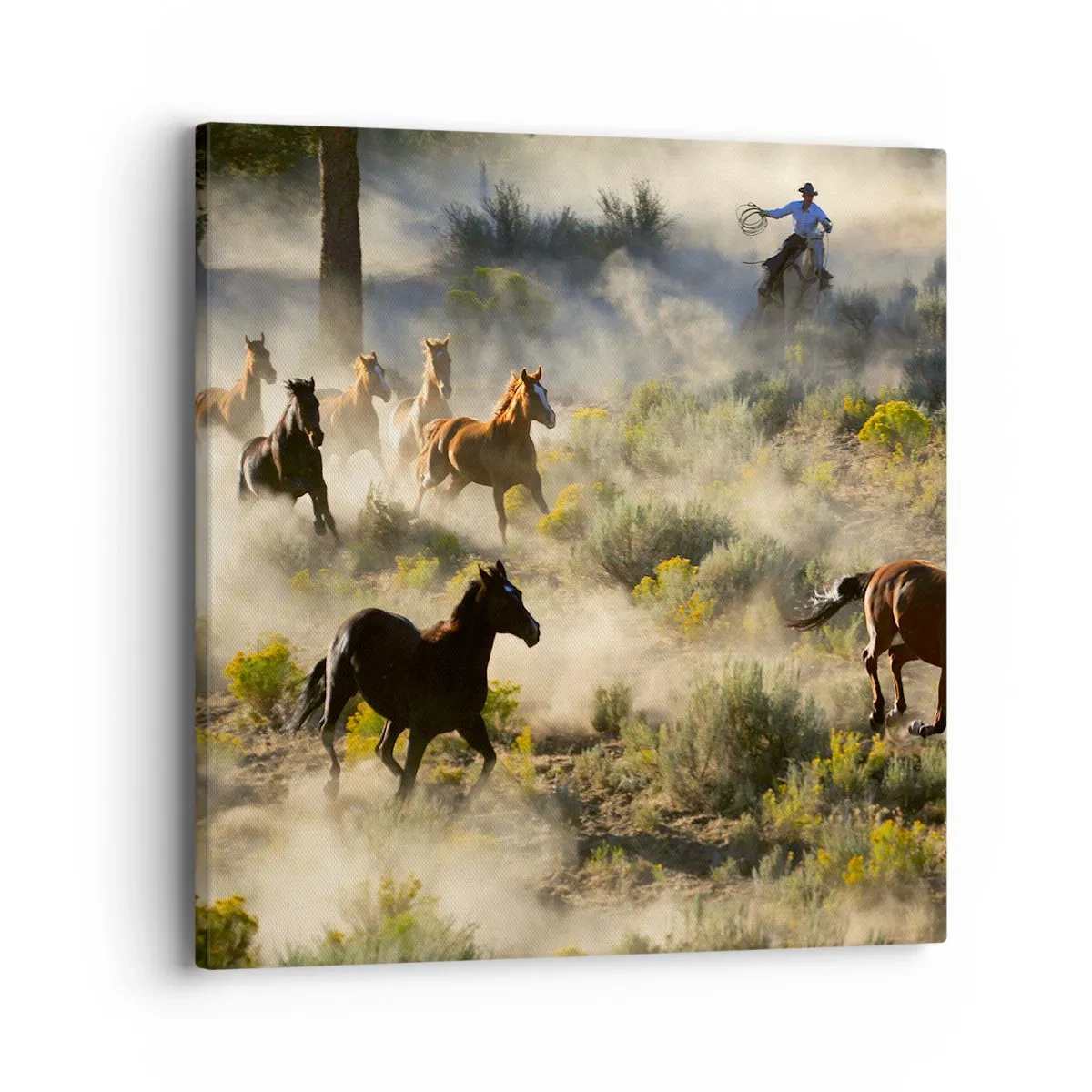 Impression sur toile - Image sur toile - Rivalité - liberté ou force masculine ? - 40x40 cm