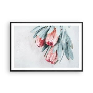 Affiche dans un cadre noir - Poster - Honte de leur propre beauté - 91x61 cm