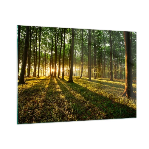 Impression sur verre - Image sur verre - Une clairière forestière illuminée par les rayons du soleil levant - 100x70cm - Toutes les photographies de printemps - Décoration murale moderne pour le salon et la chambre ARTTOR