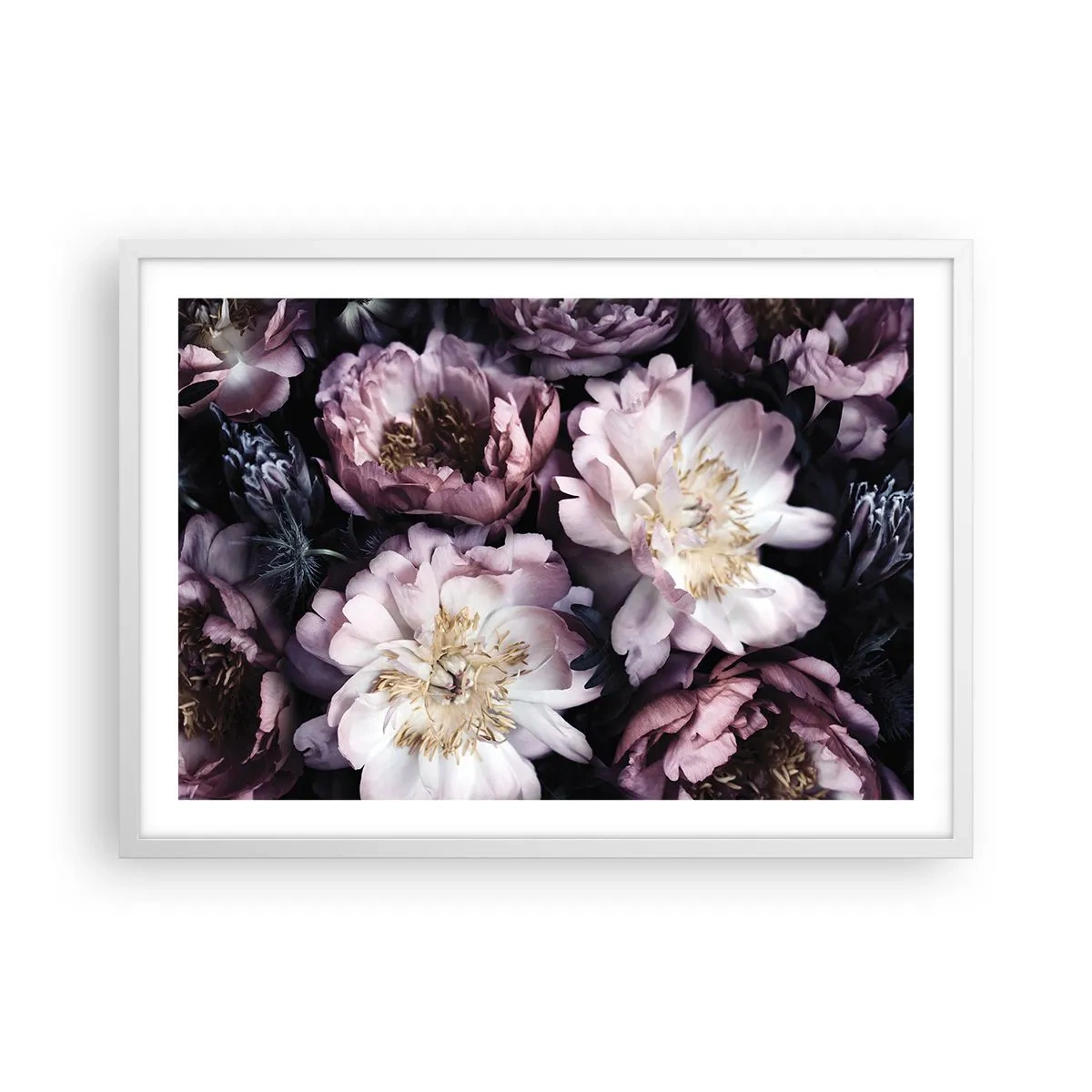 Affiche dans un cadre blanc - Poster - Bouquet à l'ancienne - 70x50 cm