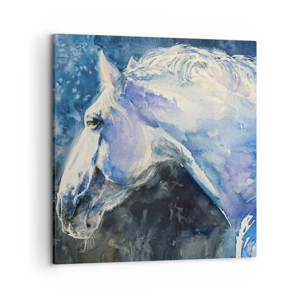 Impression sur toile - Image sur toile - Portrait dans une lueur azur - 50x50 cm