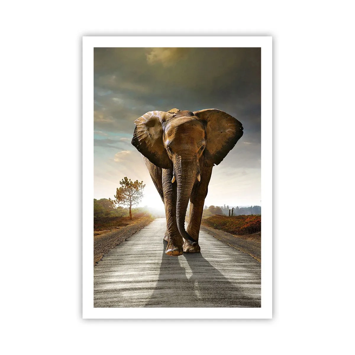 Affiche - Poster - Et pas du tout en porcelaine - 61x91 cm