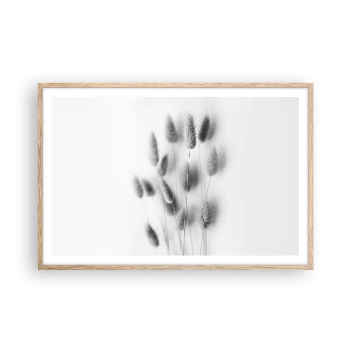 Affiche dans un chêne clair - Poster - Son herbe duveteuse - 91x61 cm