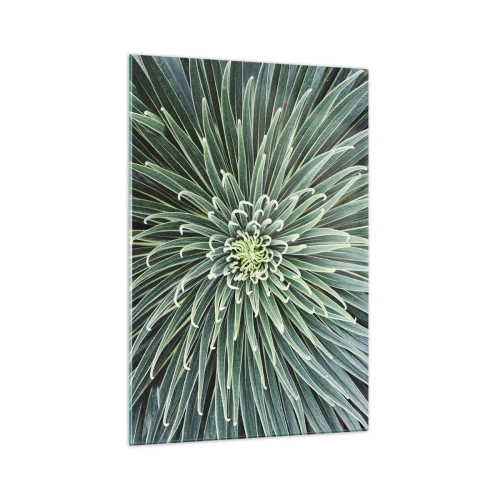Impression sur verre - Image sur verre - Disposition symétrique de feuilles vertes ressemblant à une étoile - 70x100cm - Naissance d'une étoile - Décoration murale moderne pour le salon et la chambre ARTTOR