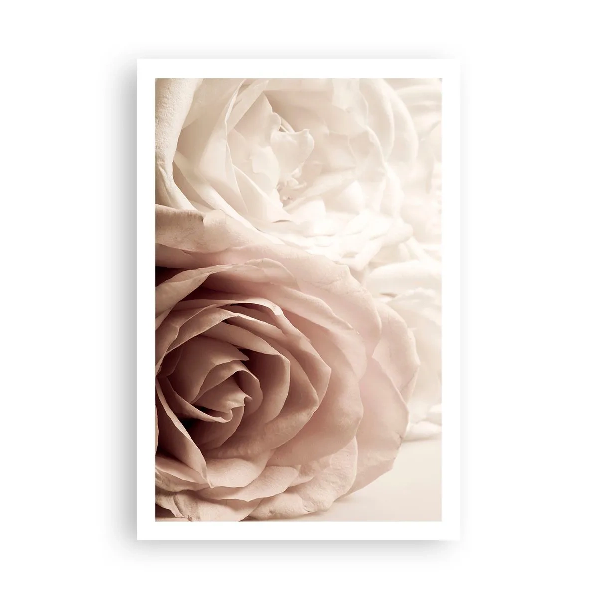 Affiche - Poster - Au coeur d'ue la rose - 61x91 cm