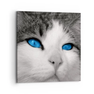 Impression sur toile - Image sur toile - Yeux bleus inhabituels - 70x70 cm