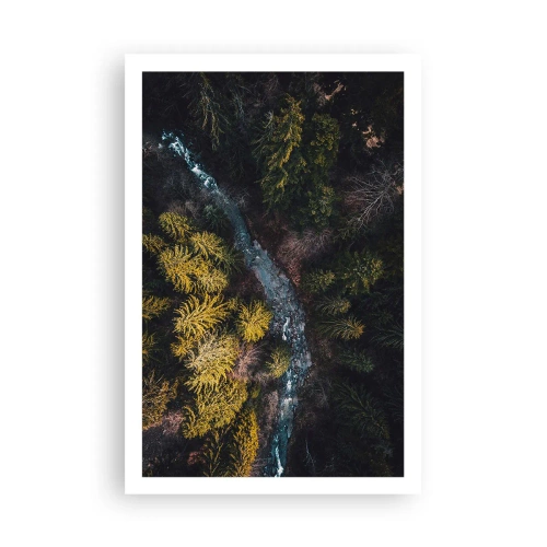 Affiche - Poster - De plus en plus vite - 61x91 cm