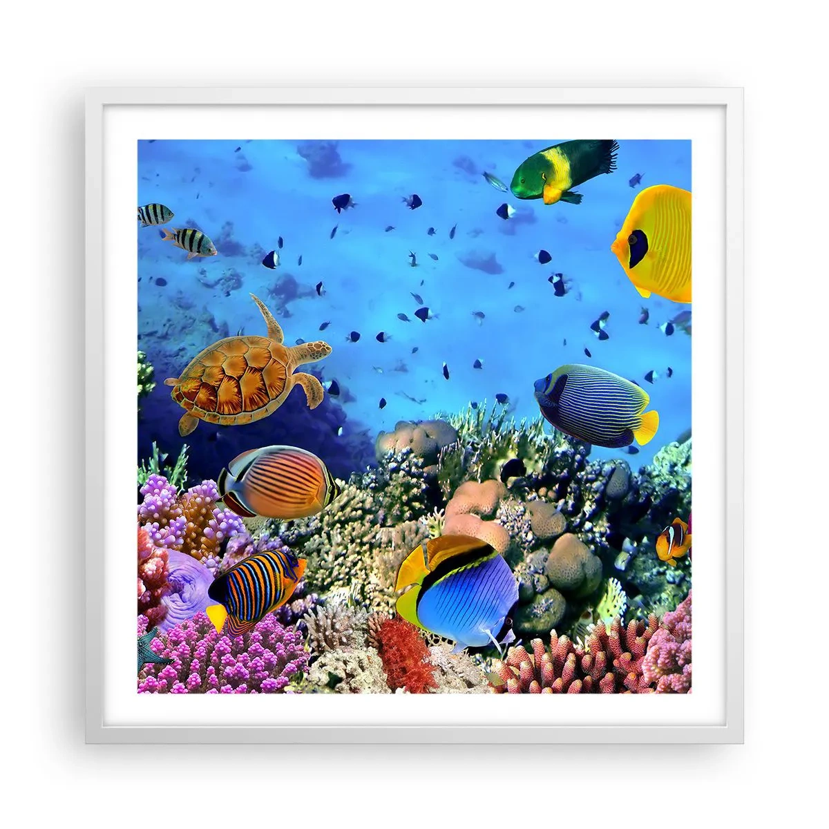 Affiche dans un cadre blanc - Poster - Et que sait-on de la vie… - 60x60 cm