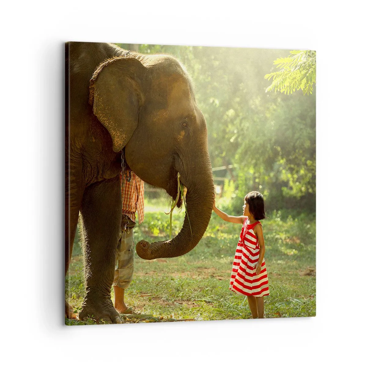 Impression sur toile - Image sur toile - La force de l'amitié - 60x60 cm