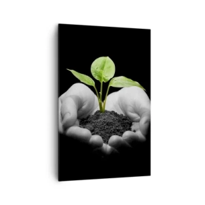 Impression sur toile - Image sur toile - Mains tenant une plante verte sur fond noir - 80x120cm - J'aime la nature, je la protège - Décoration murale moderne pour le salon et la chambre ARTTOR