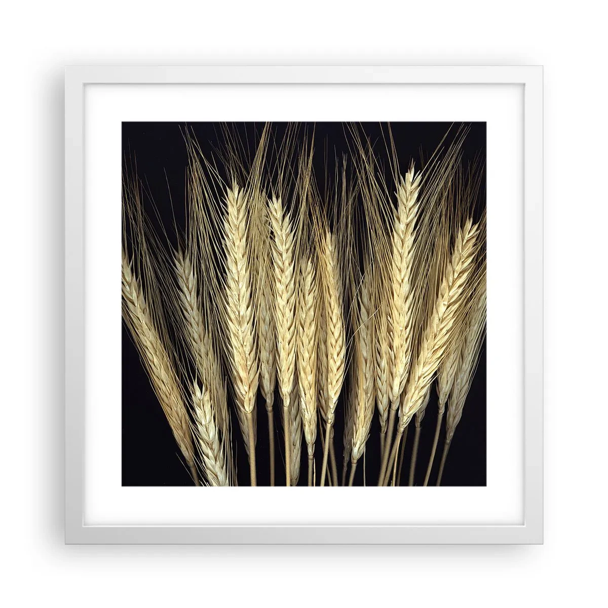 Affiche dans un cadre blanc - Poster - Magie rustique - 40x40 cm