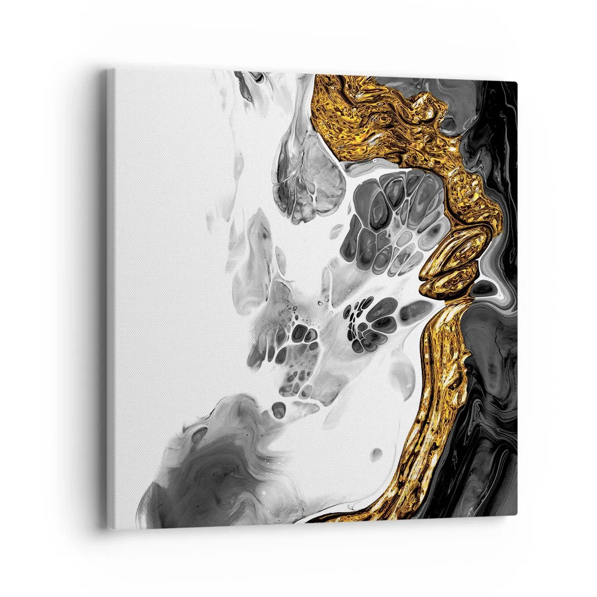 Impression sur toile - Image sur toile - Composition organique - 40x40 cm