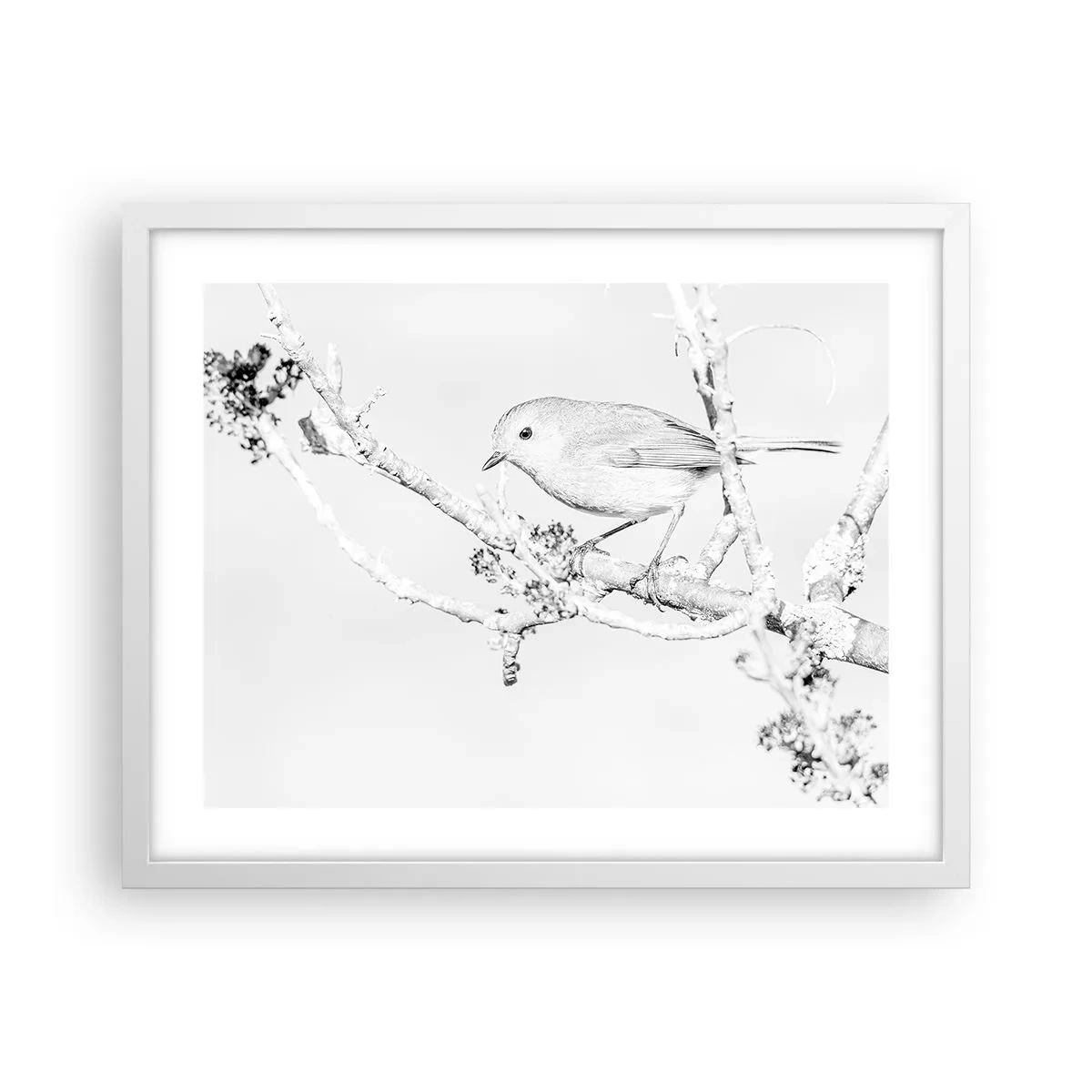 Affiche dans un cadre blanc - Poster - Matin d'hiver - 50x40 cm