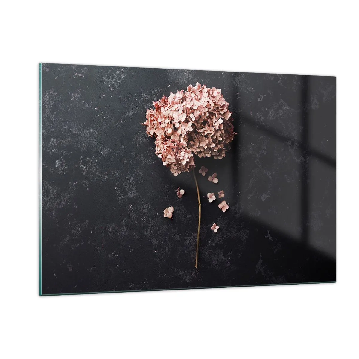 Impression sur verre - Image sur verre - Hortensia sec aux pétales dispersés sur un fond sombre - 120x80cm - Un signe vraiment romantique - Décoration murale moderne pour le salon et la chambre ARTTOR