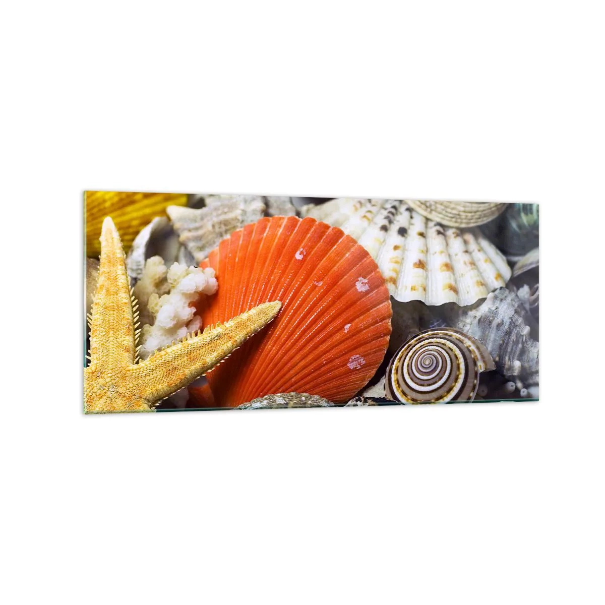 Impression sur verre - Image sur verre - Coquillages et étoiles de mer dans une composition marine - 120x50cm - Trésors de l'océan - Décoration murale moderne pour le salon et la chambre ARTTOR