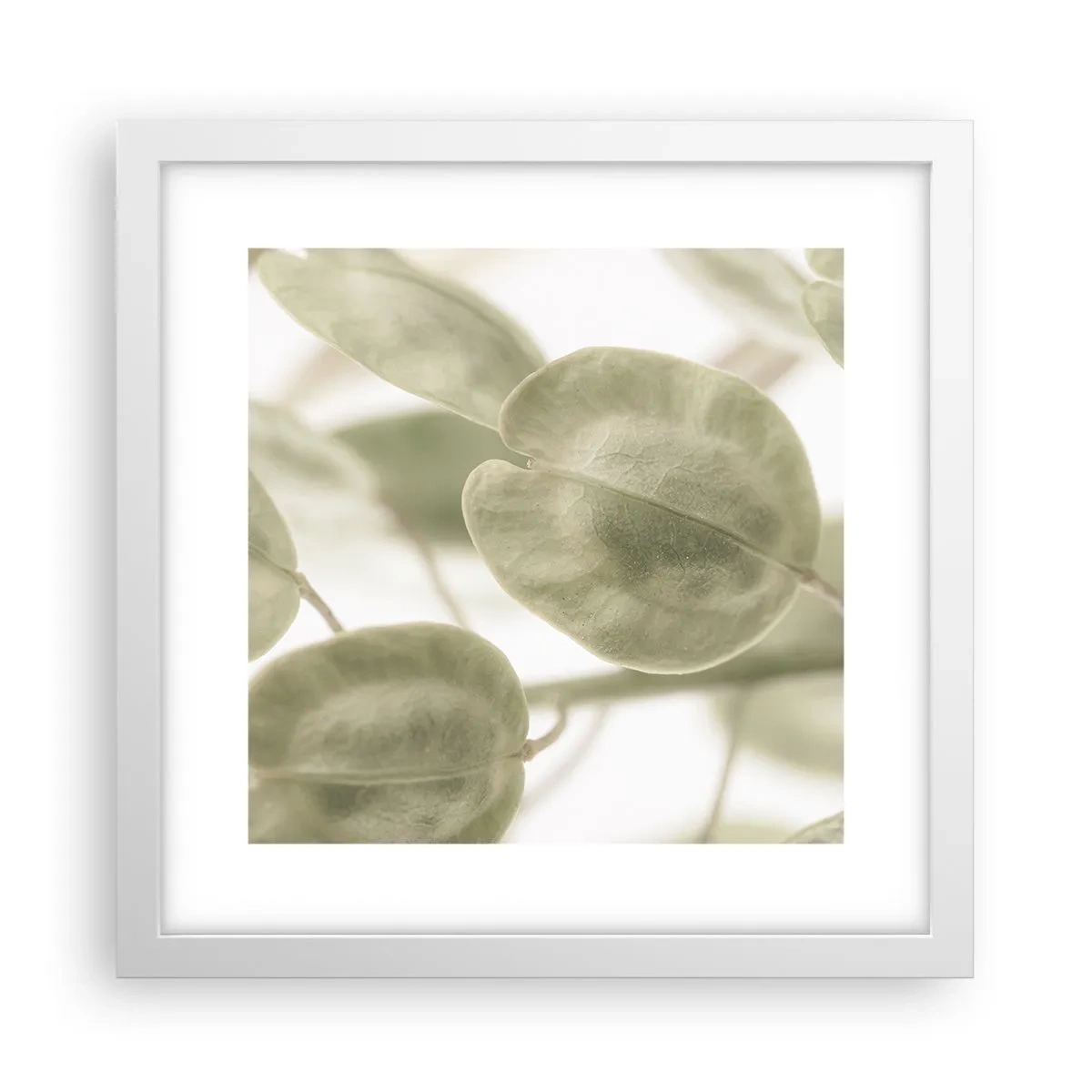 Affiche dans un cadre blanc - Poster - Au commencement il y avait des feuilles... - 30x30 cm