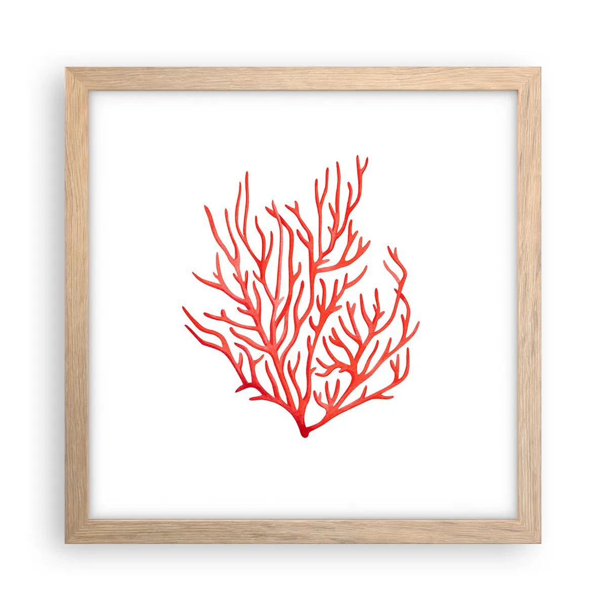 Affiche dans un chêne clair - Poster - Filigrane de corail - 30x30 cm
