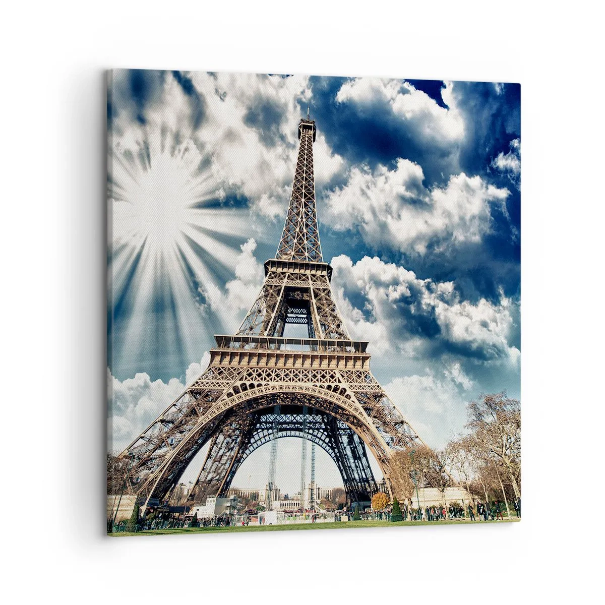 Impression sur toile - Image sur toile - La seule et unique sous le soleil - 50x50 cm