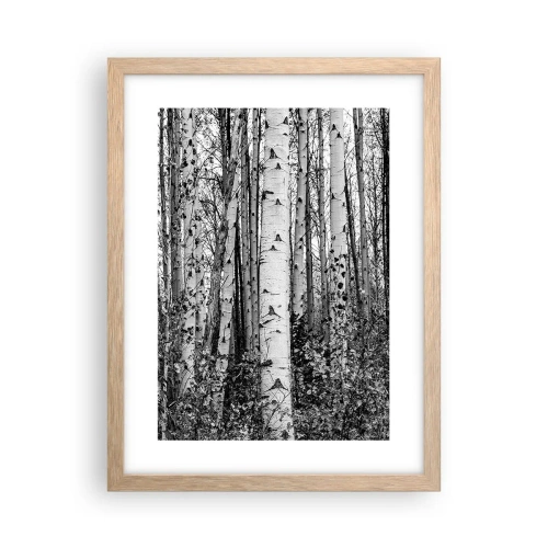 Affiche dans un chêne clair - Poster - Enchevêtrement de bouleau - 30x40 cm