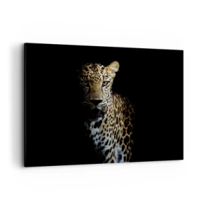 Impression sur toile - Image sur toile - Un léopard sur fond sombre avec un regard intense - 100x70cm - Beauté sombre - Décoration murale moderne pour le salon et la chambre ARTTOR