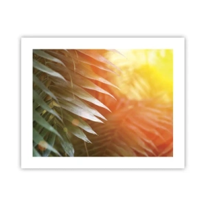 Affiche - Poster - Matinée dans la jungle - 50x40 cm