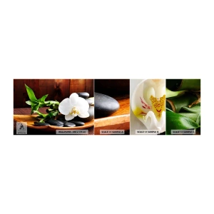 Échantillon De Papier Peint Standard Eco - Cédez au contact de la nature - Fleurs, Orchidée, Orchidée - 100x30 cm