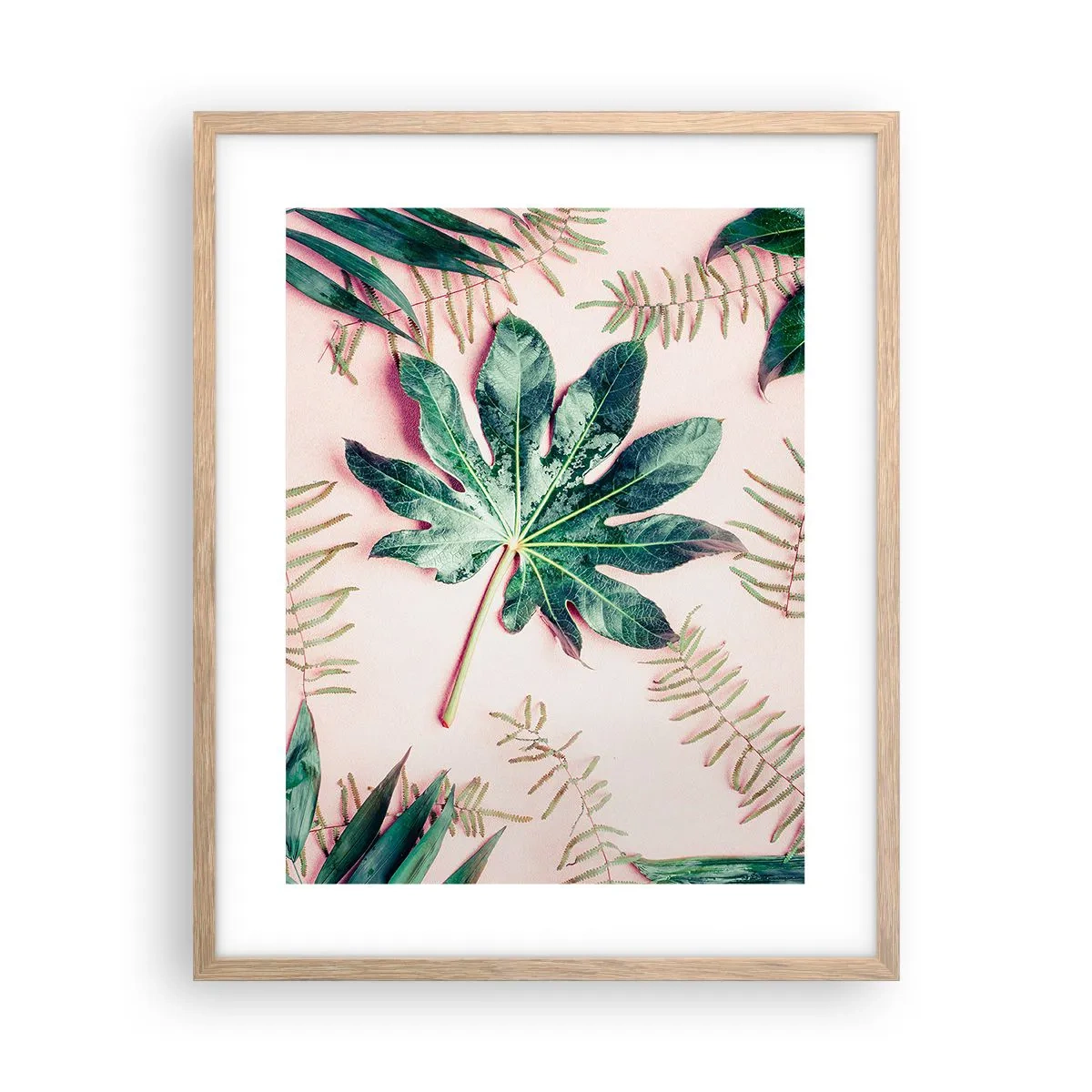 Affiche dans un chêne clair - Poster - Étude de verdure sur fond rose - 40x50 cm
