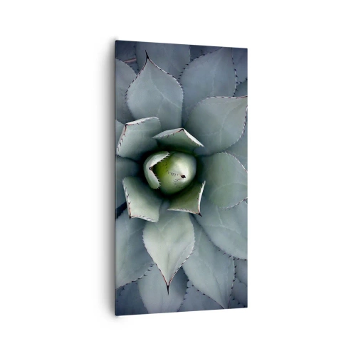 Impression sur toile - Image sur toile - Wabi et observe - 65x120 cm