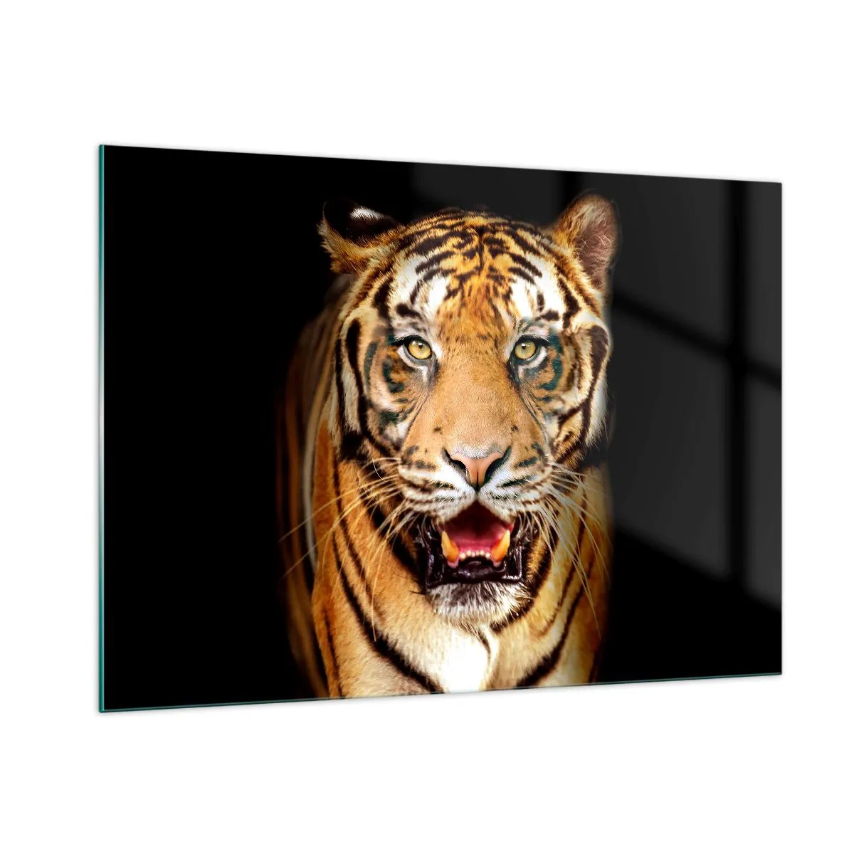 Impression sur verre - Image sur verre - Un tigre sur fond sombre avec un regard intense - 100x70cm - Le coeur sauvageon - Décoration murale moderne pour le salon et la chambre ARTTOR
