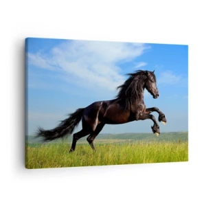 Impression sur toile - Image sur toile - Un cheval noir courant contre un ciel bleu et une prairie verte - 70x50cm - Un manifeste de liberté passionnant - Décoration murale moderne pour le salon et la chambre ARTTOR