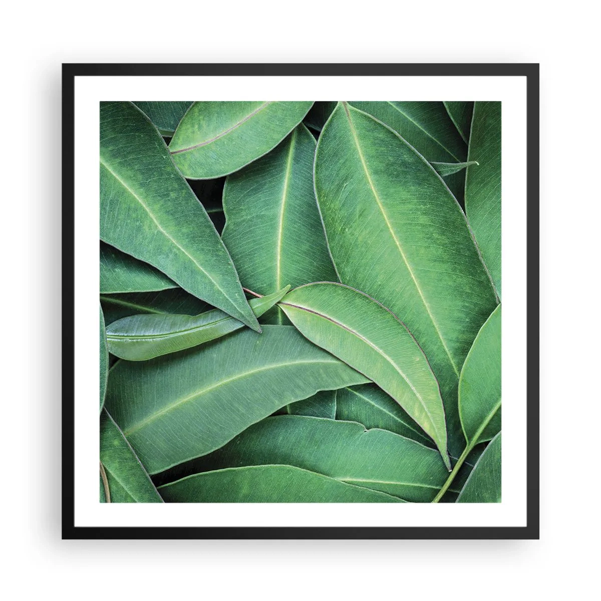 Affiche dans un cadre noir - Poster - Juteux et frais - 60x60 cm