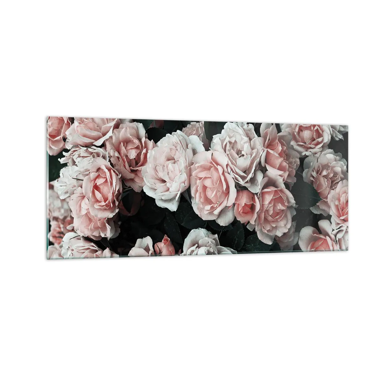 Impression sur verre - Image sur verre - Ensemble de rose - 100x40 cm