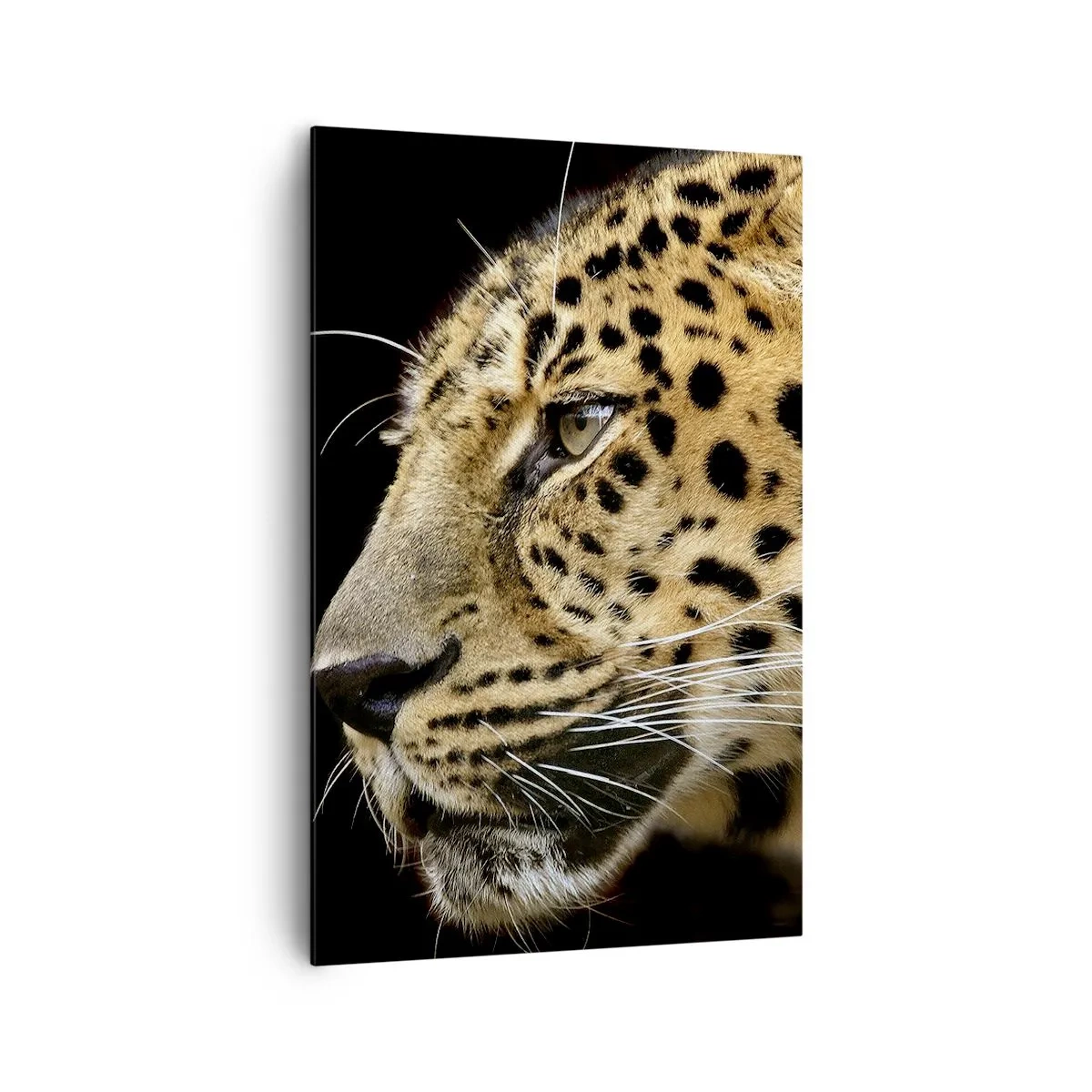 Impression sur toile - Image sur toile - Gros plan d'une tête de léopard sur fond noir - 80x120cm - Calme, concentré, prêt - Décoration murale moderne pour le salon et la chambre ARTTOR
